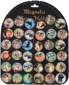 Magnetky dětské kulaté zvířátka afrika samostatné 3,5cm různé druhy