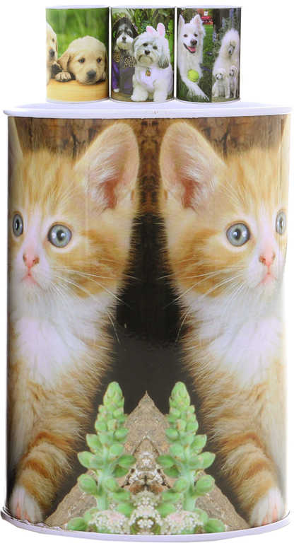 Pokladnička foto Pejsci / Kočičky 12cm dětská kasička plechovka 4 druhy