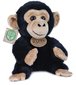 PLYŠ Opice Šimpanz sedící 18cm Eco-Friendly *PLYŠOVÉ HRAČKY*
