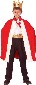 KARNEVAL aty Krl vel. M (120-130cm) 5-9 let KOSTM