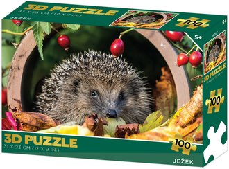PUZZLE 3D Jeek 31x23cm 100 dlk skldaka v krabici