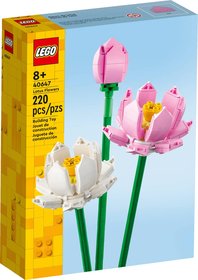 LEGO Lotosov kvty 40647 STAVEBNICE