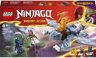 LEGO NINJAGO Dra mld Riyu 71810 STAVEBNICE