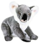 PLY Medvdek koala stojc 25cm Eco-Friendly *PLYOV HRAKY*