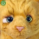 209534_04.jpg