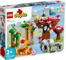 LEGO DUPLO Divoká zvířata Asie na baterie Zvuk 10974 STAVEBNICE