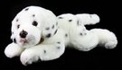PLY Pes dalmatin 30cm lec Eco-Friendly *PLYOV HRAKY*