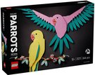 LEGO ART Kolekce zvat Papouci ara 31211 STAVEBNICE