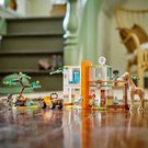 2241717_09.jpg