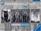 RAVENSBURGER Puzzle Panter, slon a lev 1000 dlk 98x38cm panorama triptych