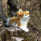 242951_09.jpg