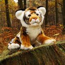 243033_09.jpg