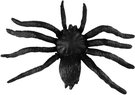 250260_04.jpg
