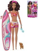 MATTEL BRB Panenka Barbie surfaka hern set s doplky v krabici