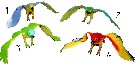 Papouek barevny pskajc gumov (ptek na zaven na gum)