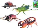 Zvířátko hmyz maxi 12-20cm 4 druhy na kartě plast