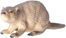 51234_06.jpg