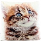Polštářek zvířátko 33x33cm realistický fotopotisk koťe