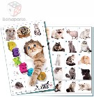 BONAPARTE Pexeso Kočky 32 dvojic fotografie *SPOLEČENSKÉ HRY*