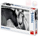 DINO Puzzle 1000 dlk ernobl kon 66x47cm skldaka v krabici