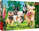 TREFL PUZZLE PREMIUM as na aj Pote na obzoru 68x48cm 1000 dlk