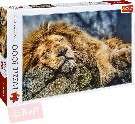 TREFL PUZZLE Foto Spc lev 1000 dlk 68x48cm skldaka 110447