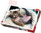 TREFL PUZZLE Foto Vesel kot 1000 dlk 68x48cm skldaka 110448